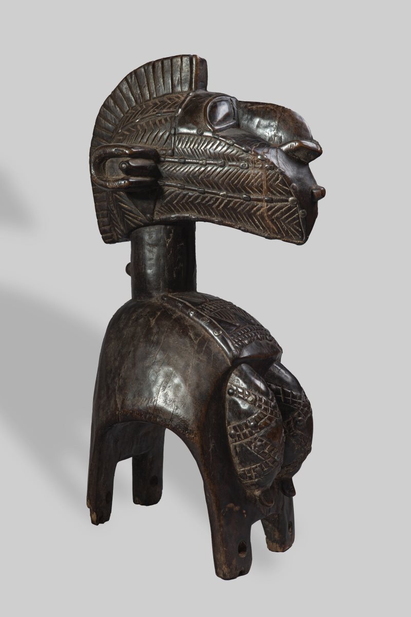 צילום דוריאן גוטליב