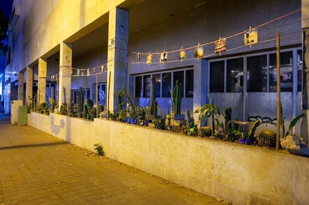 צילום: יוגב וענונו