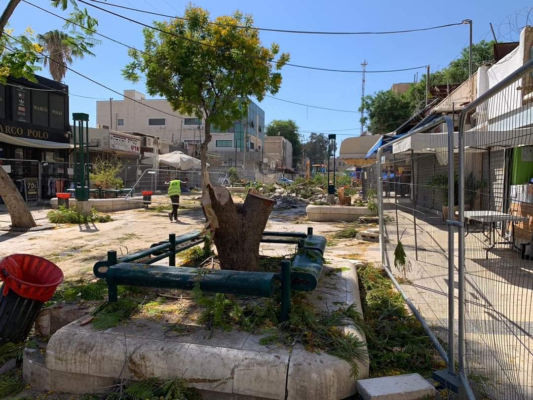 צילום: פרטי