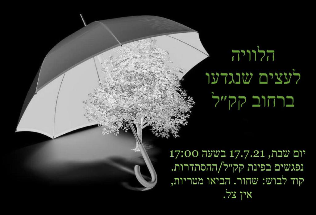 תוכן גולשים על פי סעיף 27א