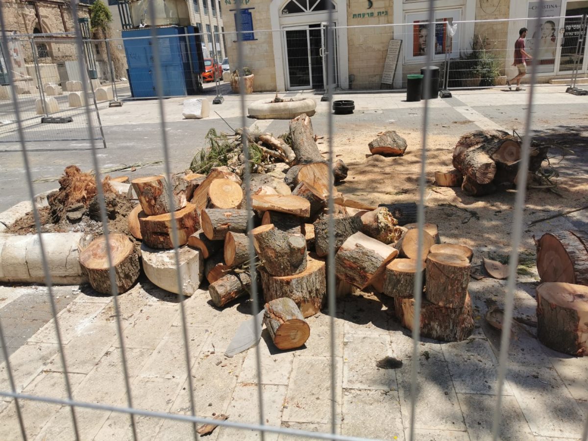 צילום: פרטי