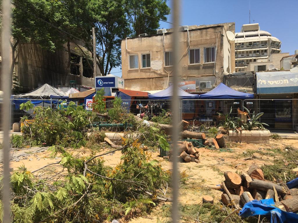 צילום: פרטי