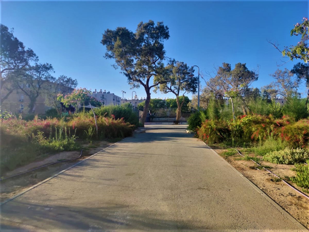 צילום: סתיו ליבנה