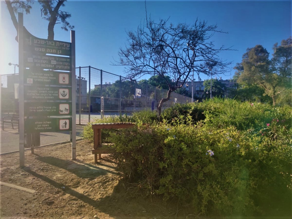 צילום: סתיו ליבנה