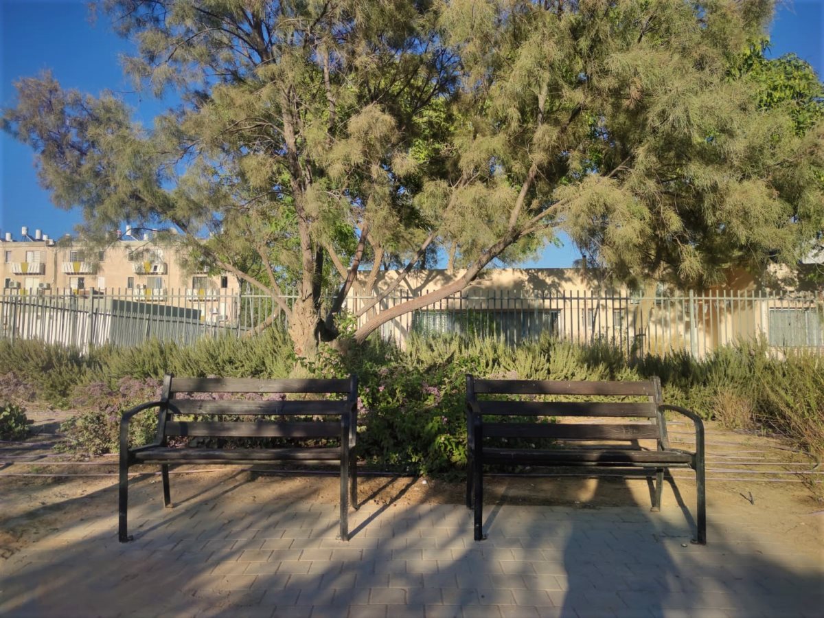 צילום: סתיו ליבנה