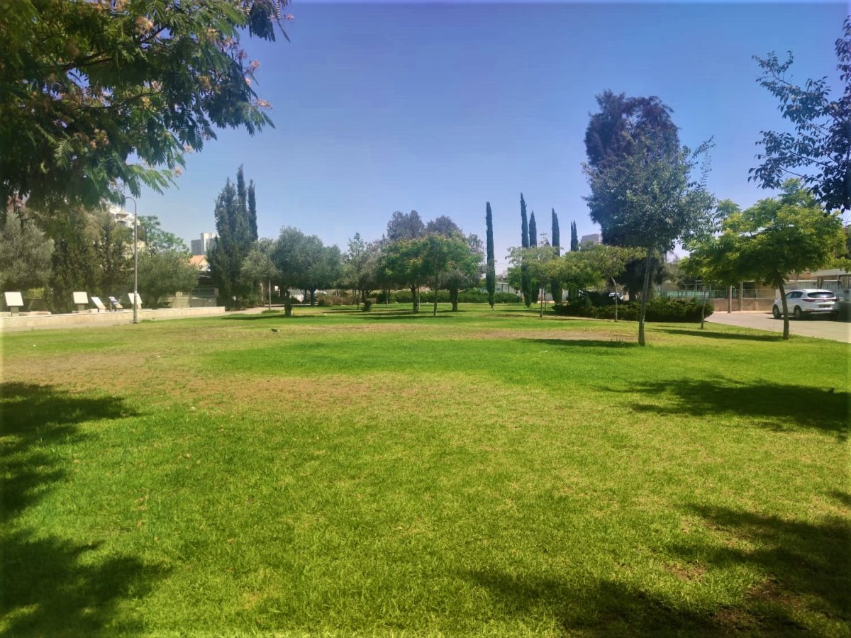 צילום: סתיו ליבנה