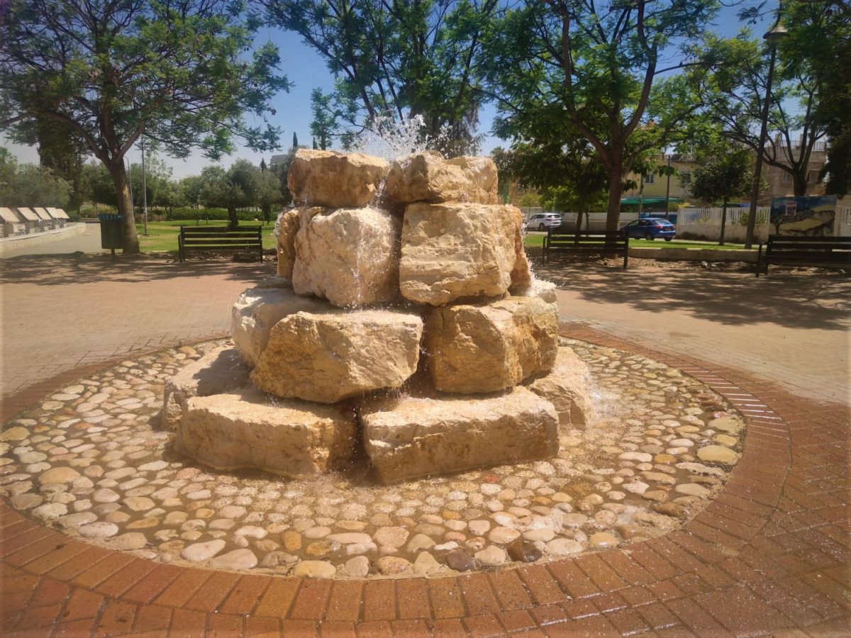 צילום: סתיו ליבנה