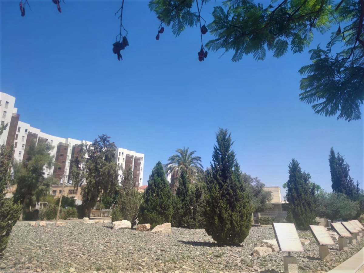 צילום: סתיו ליבנה