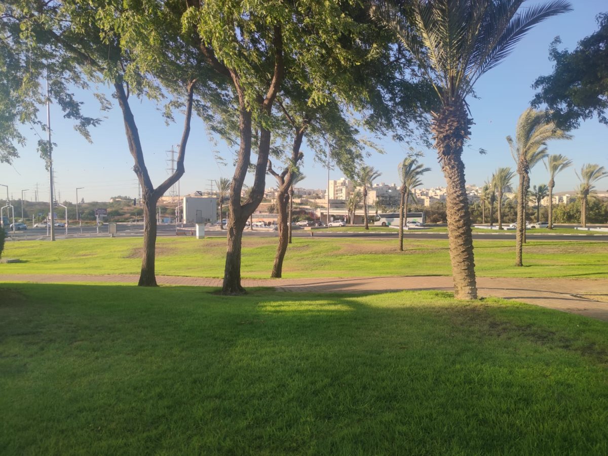 צילום: סתיו ליבנה