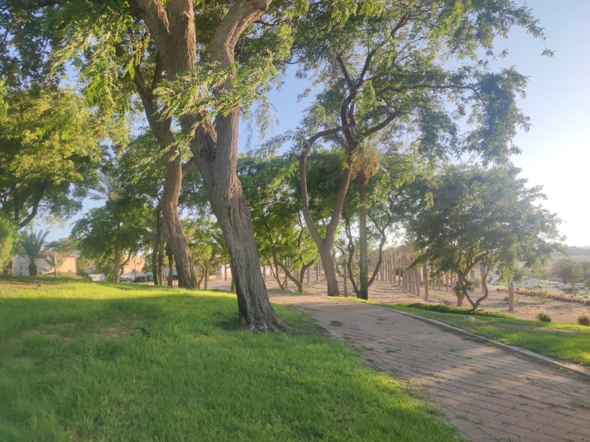 צילום: סתיו ליבנה