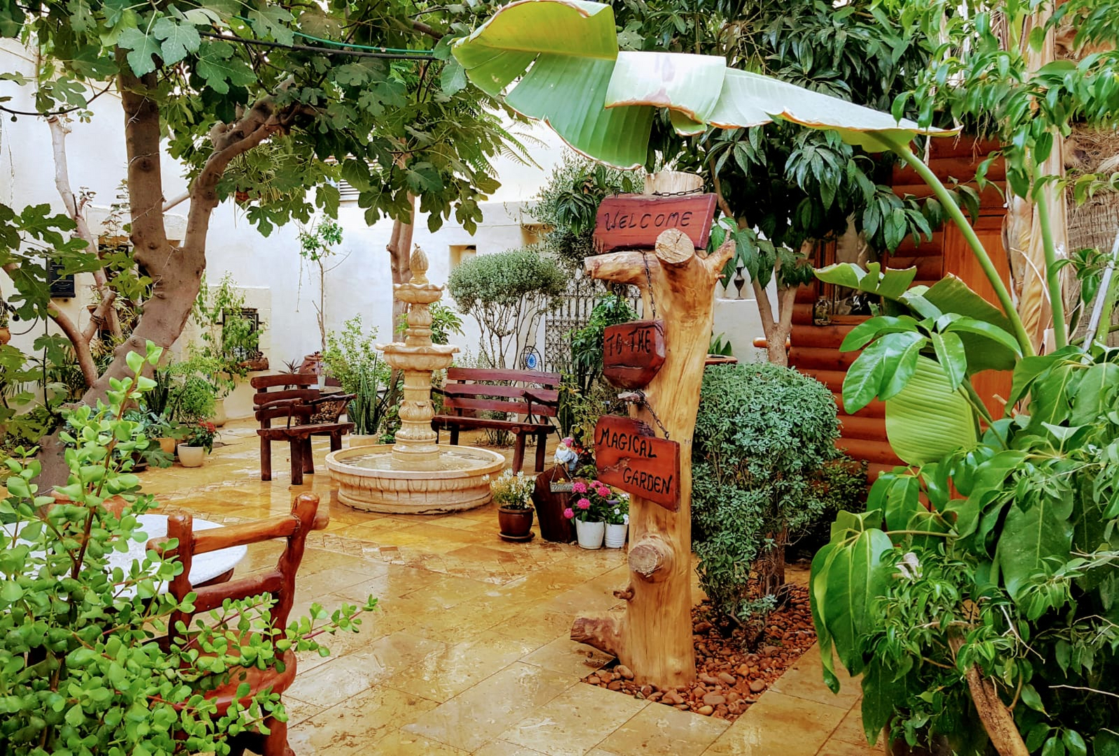 קרדיט - הגן הקסום