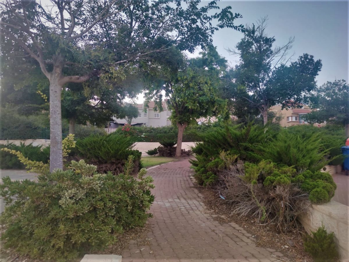 צילום: סתיו ליבנה