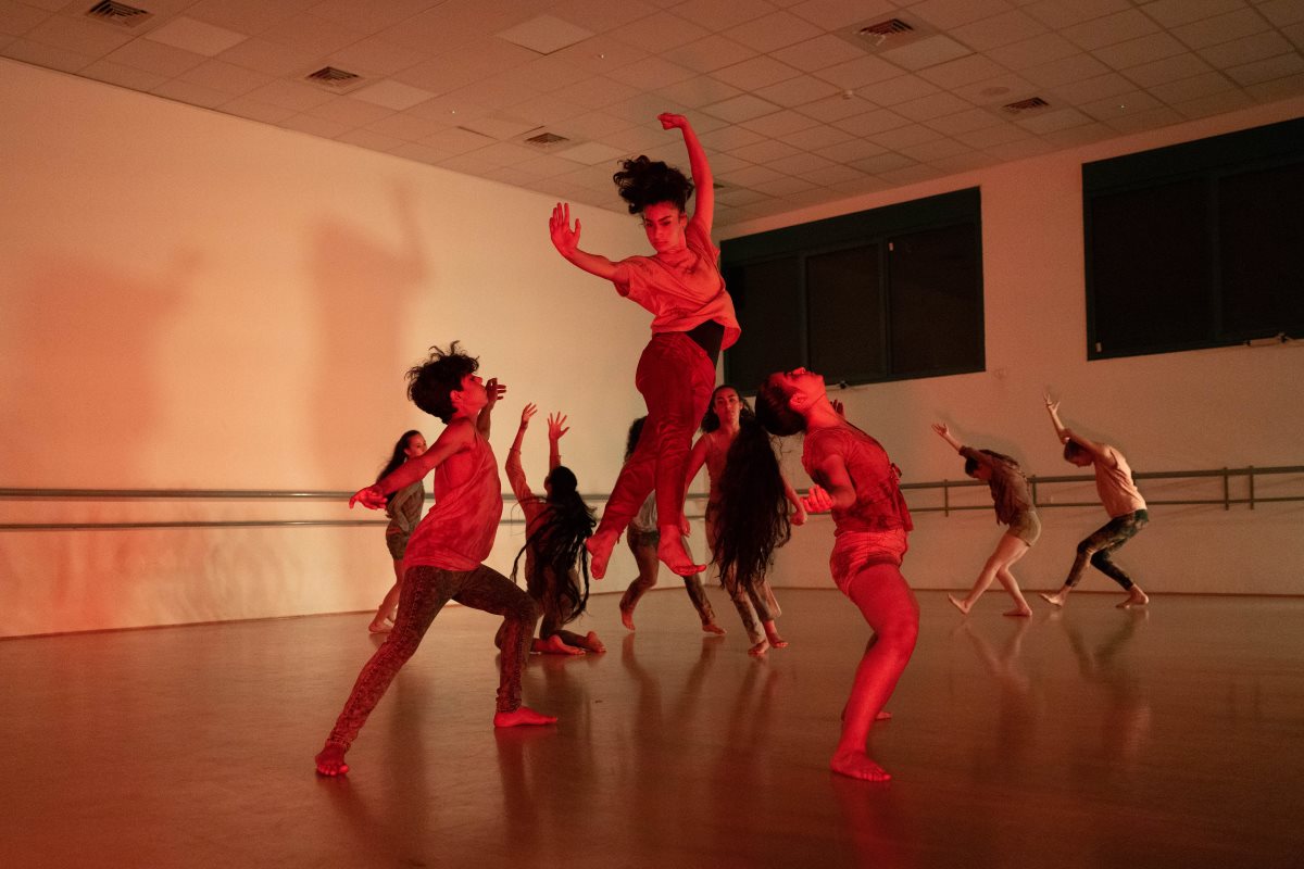 צילום ג'ודי תורג'מן