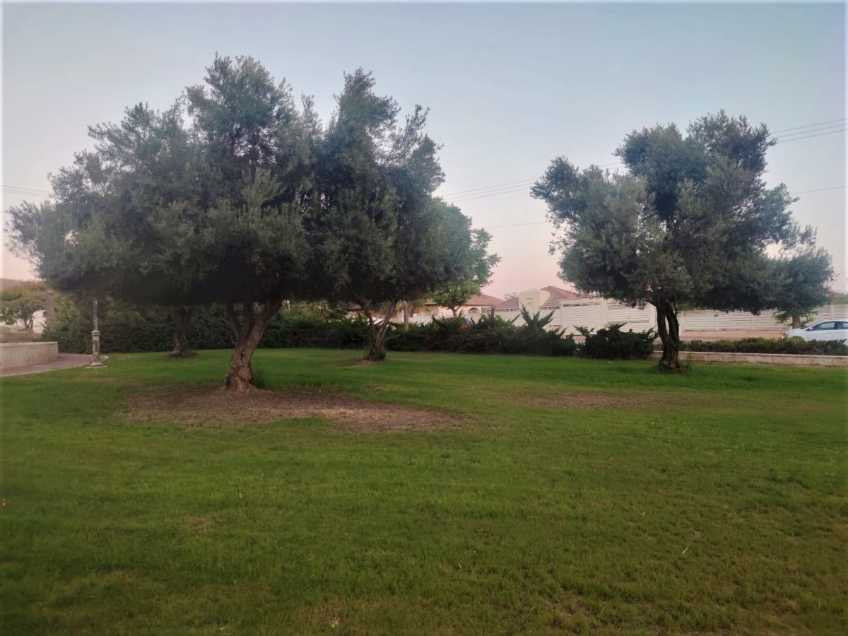 צילום: סתיו ליבנה