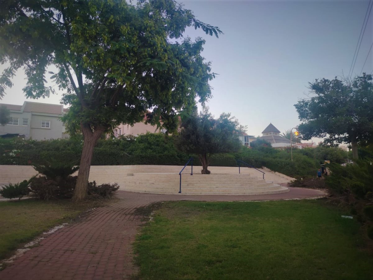 צילום: סתיו ליבנה