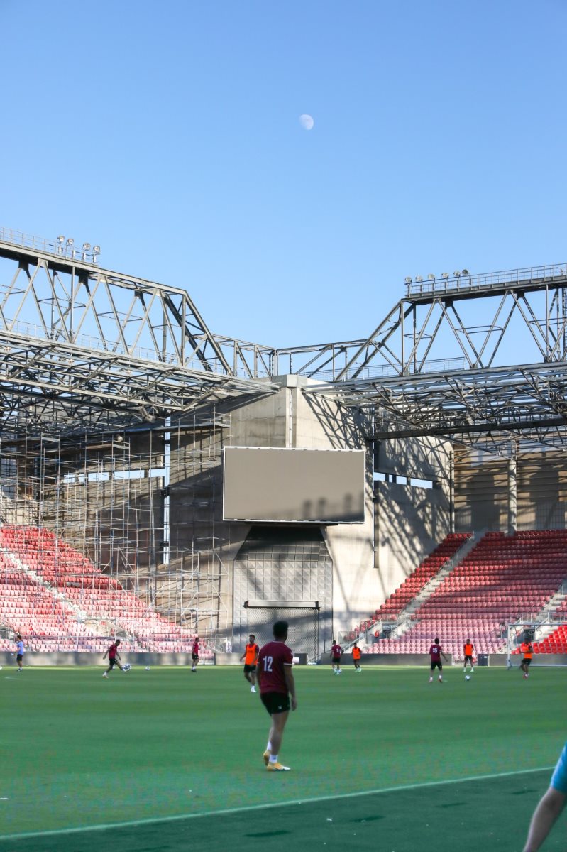 צילום: זאב דיקמן