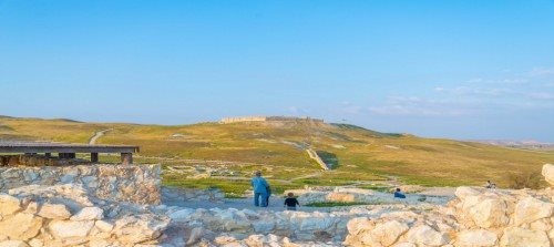 צילום מנו גרינשפן