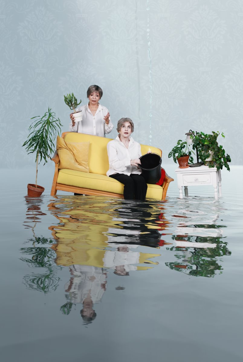 צילום אילן בשור