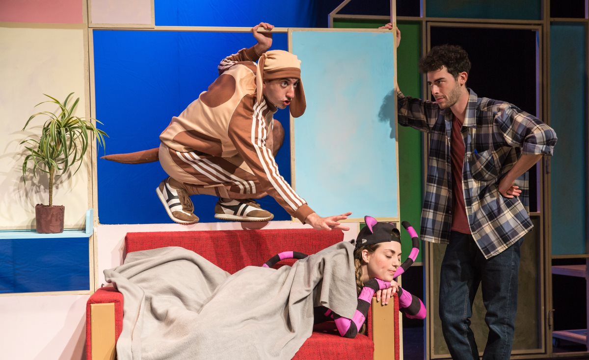 צילום מעיין קאופמן