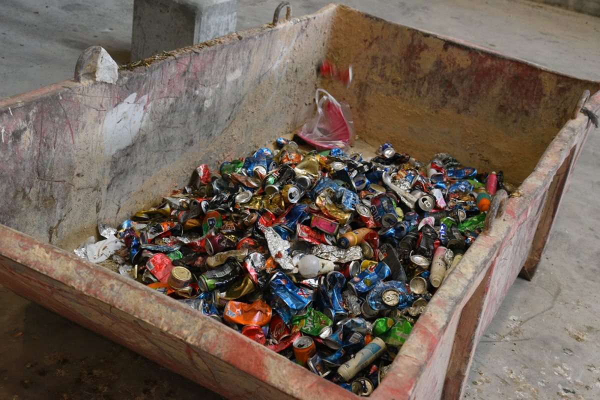 פחיות ממוינות מהמפעל - קרדיט יוסי איפרגן