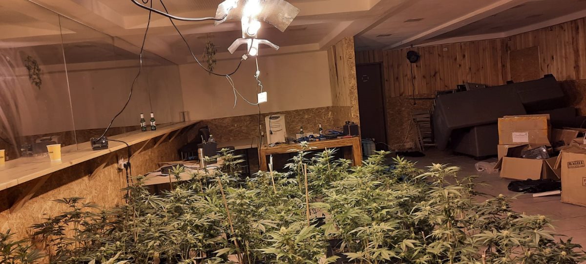 קרדיט - דוברות מרחב נגב