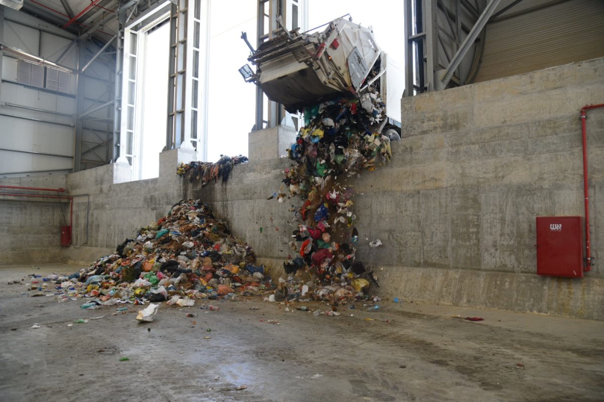 קרדיט יוסי איפרגן