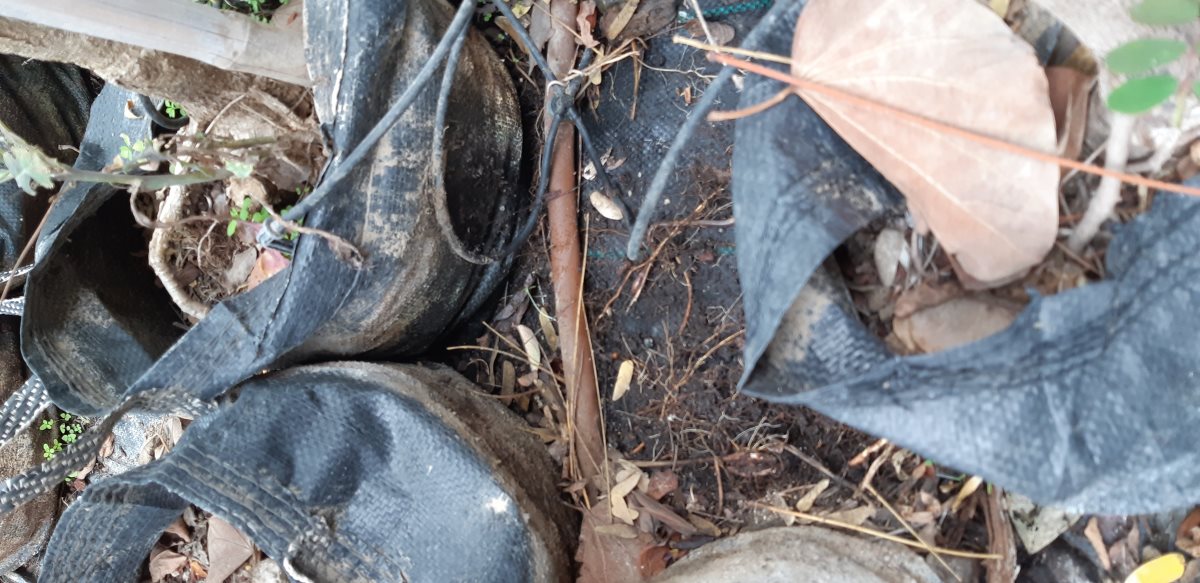 צילום: שרון טל, רשות הטבע והגנים 