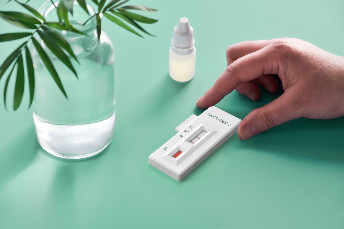 קרדיט - shutterstock