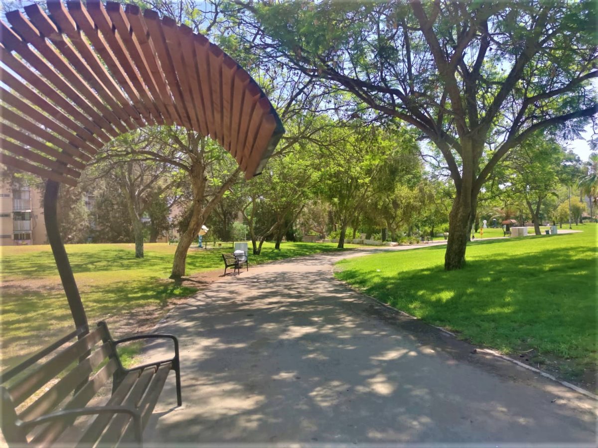 צילום: סתיו ליבנה