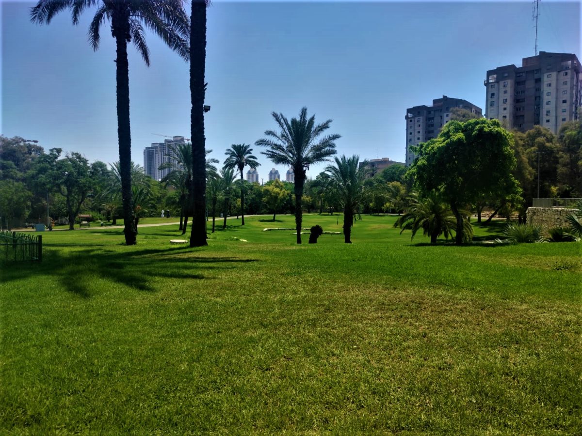 צילום: סתיו ליבנה