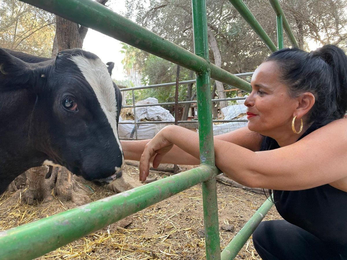 ח"כ יסמין סאקס. צילום: אופיר צדוק