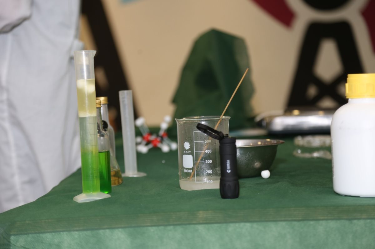 קרדיט אריאלה כהן