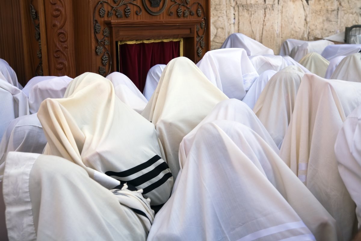 קרדיט - shutterstock