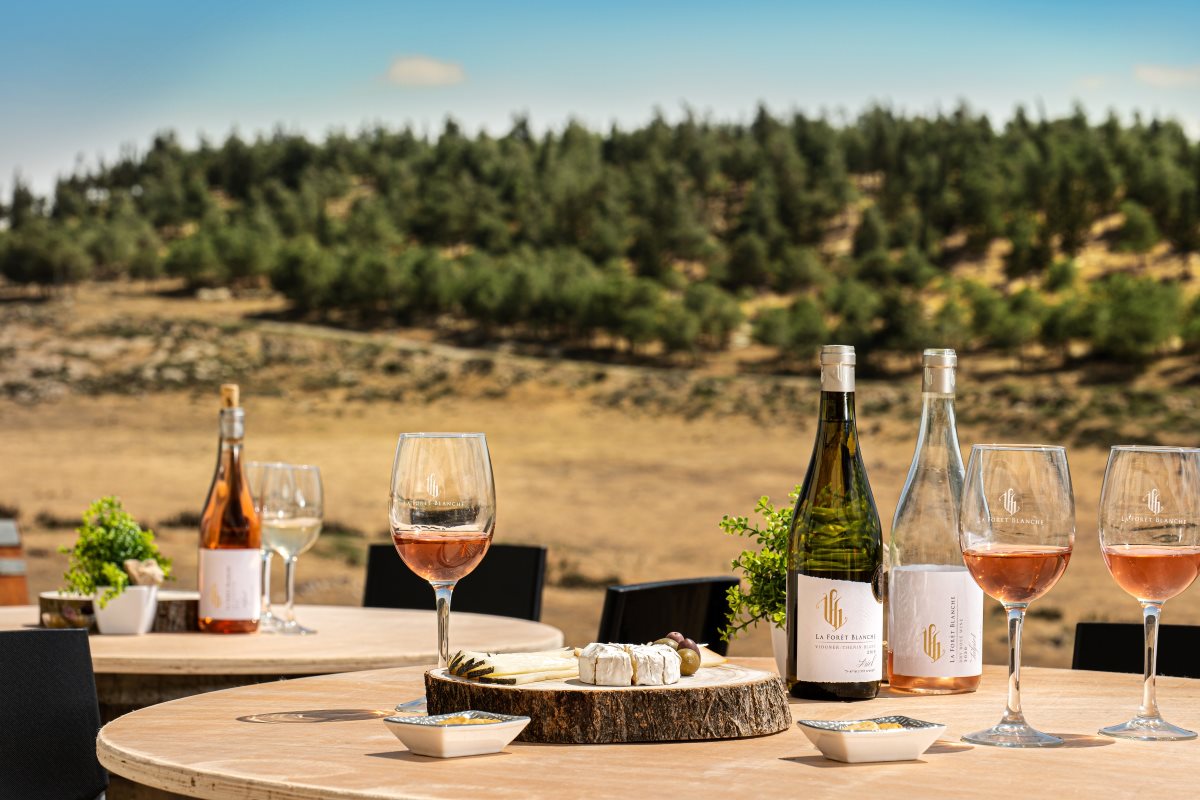 יקב לה פורה בלאנש. צילום אנטולי קרינצקי