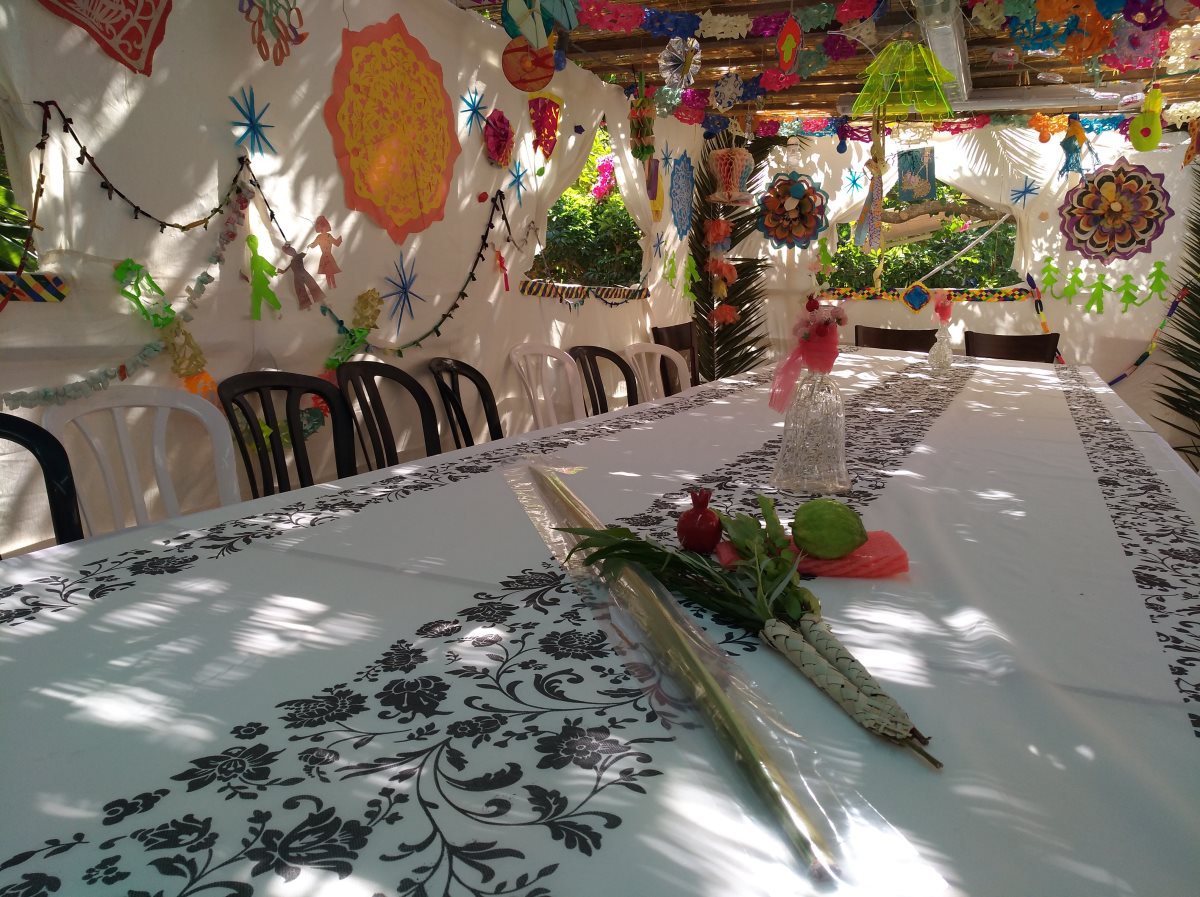 קרדיט - shutterstock