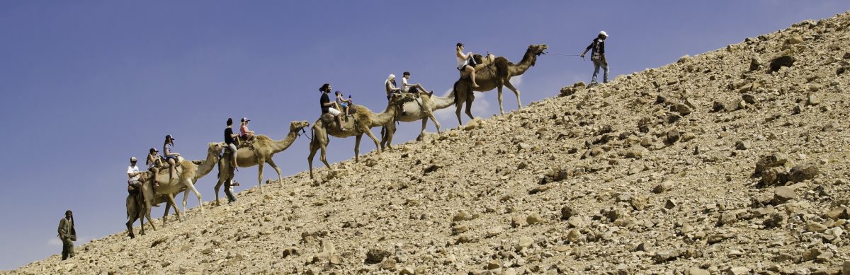 טיולי גמלים - קרדיט: יוני גריצנר