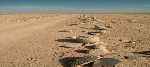 צילום צביקה צוק