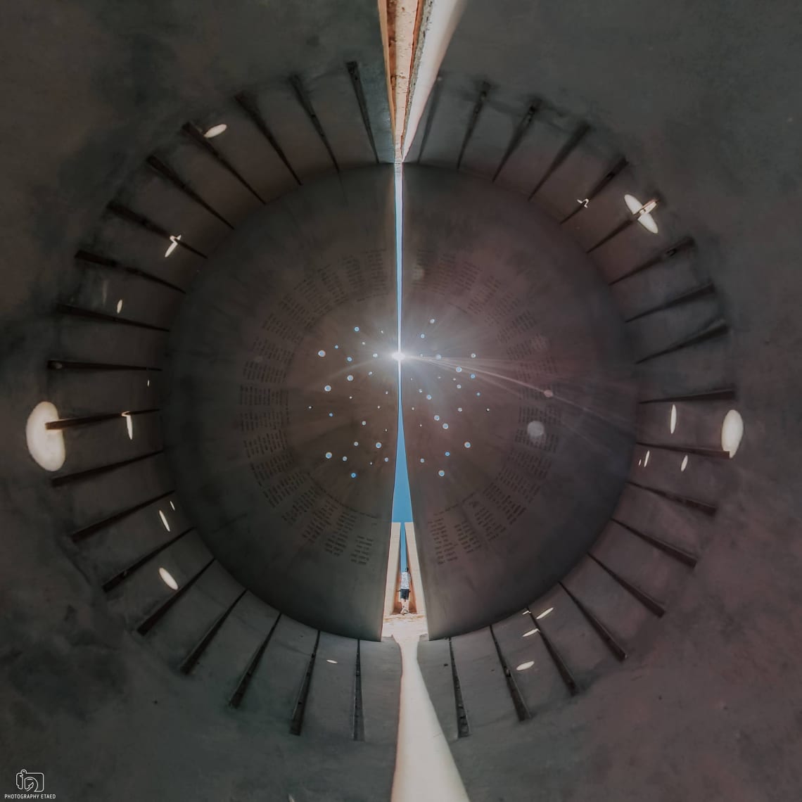 צילום אלעד גרובר