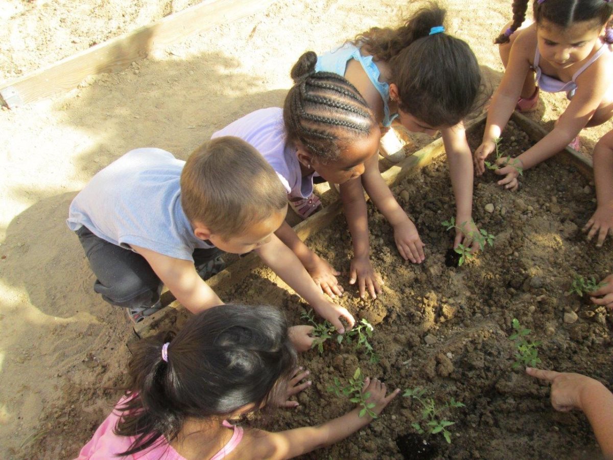 קרדיט - עיריית באר שבע