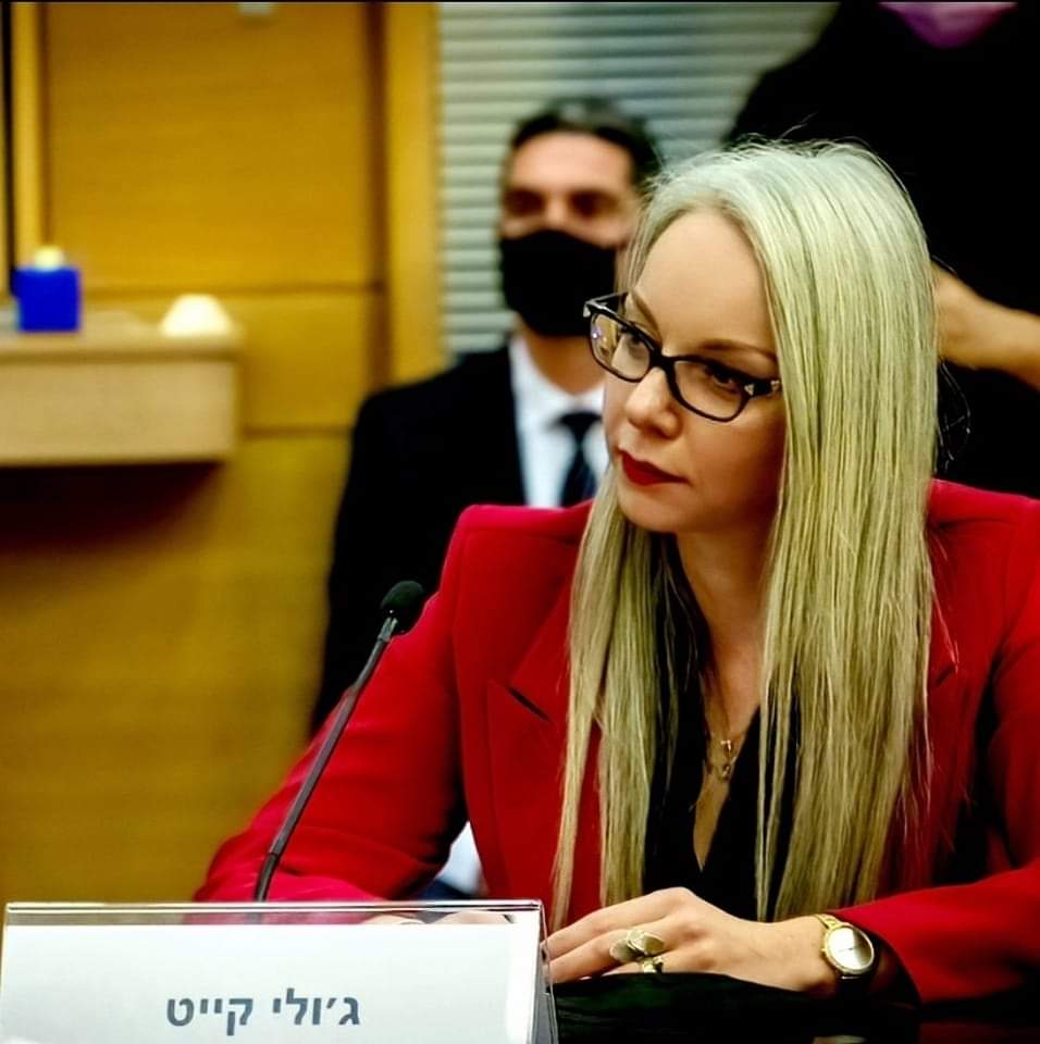 במהלך דיון בכנסת, לגבי מצב הנגב. קרדיט - יח"צ