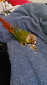 קרדיט - זהבית אבוחצירה