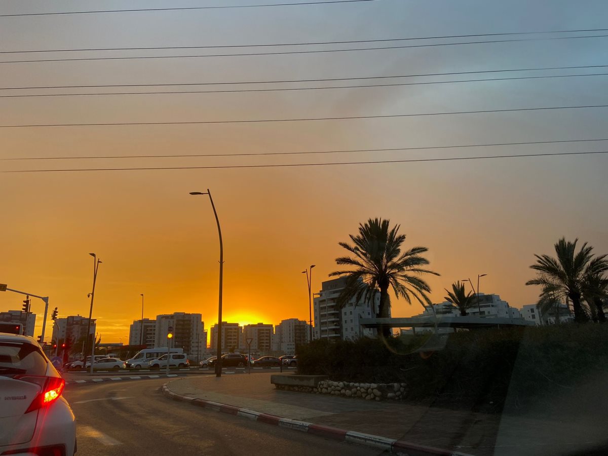 קרדיט - אלמוג בשני