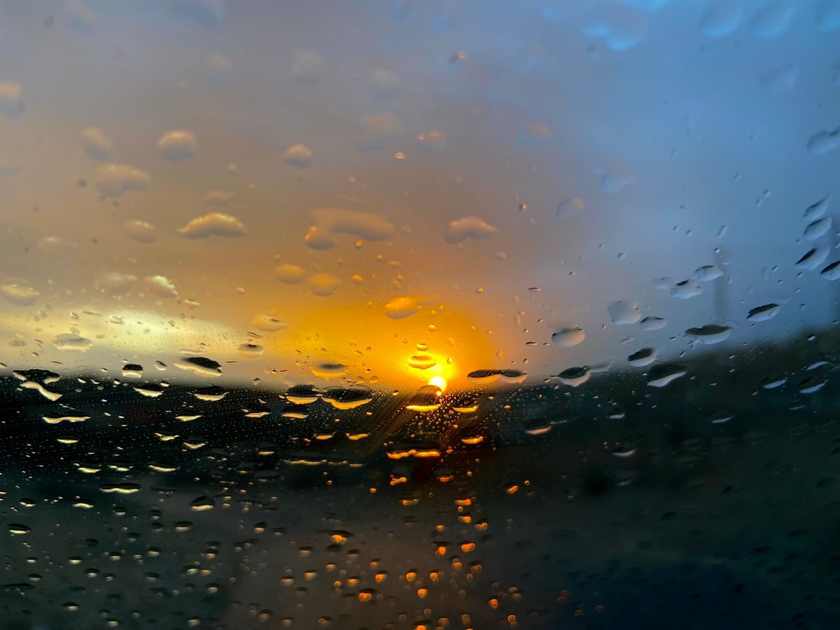 קרדיט - אלמוג בשני