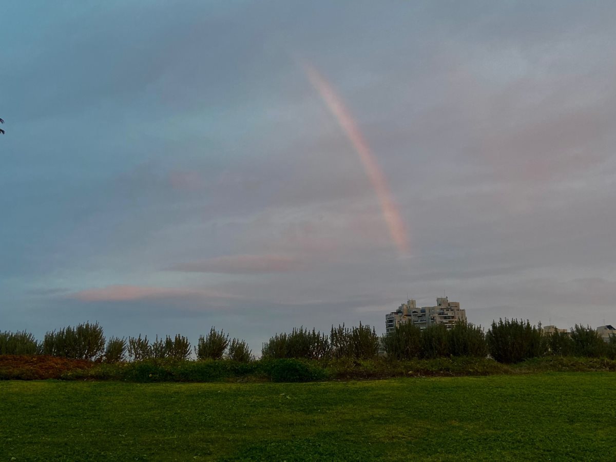 קרדיט - אלמוג בשני
