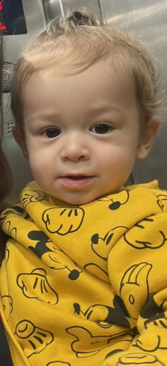 רוי ברנס לפידות