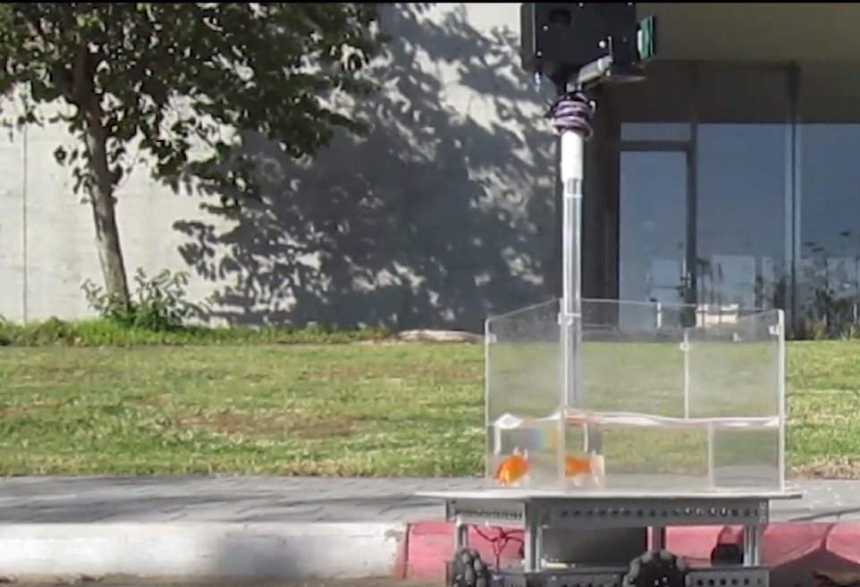 קרדיט - שחר גבעון ומתן סמינה