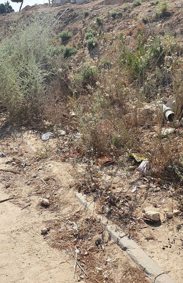 קרדיט - ליזה שבתאי