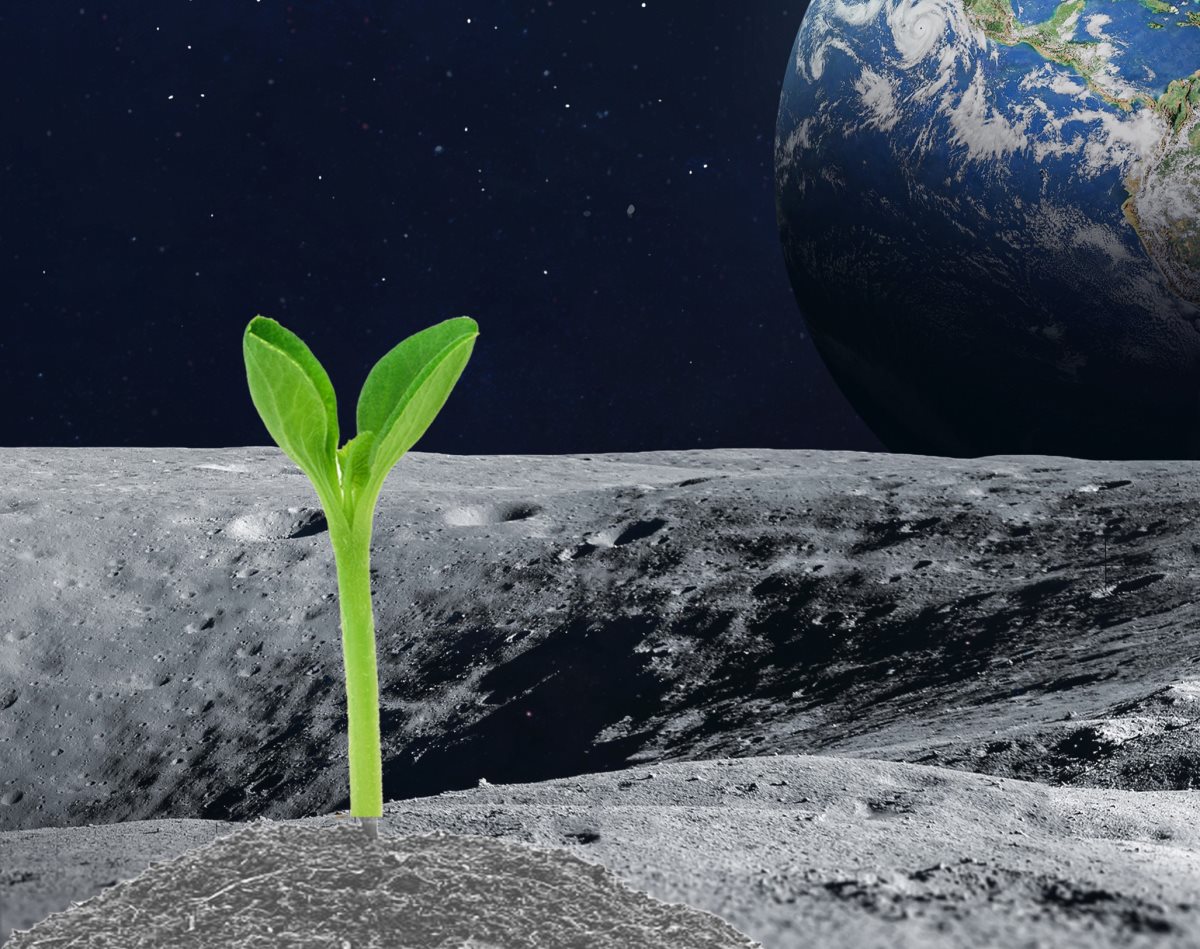 באדיבות אוניברסיטת בן גוריון בנגב