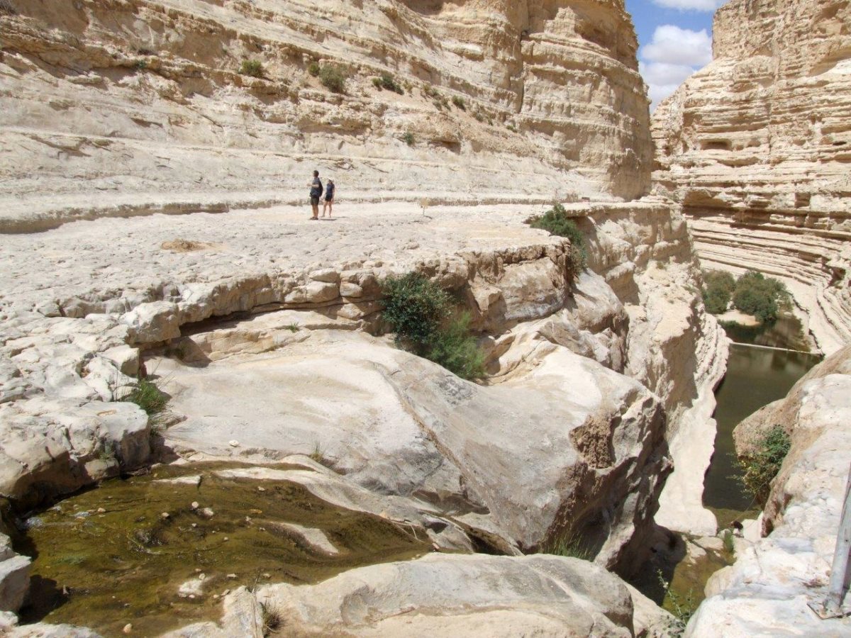 צילום אייל שפירא