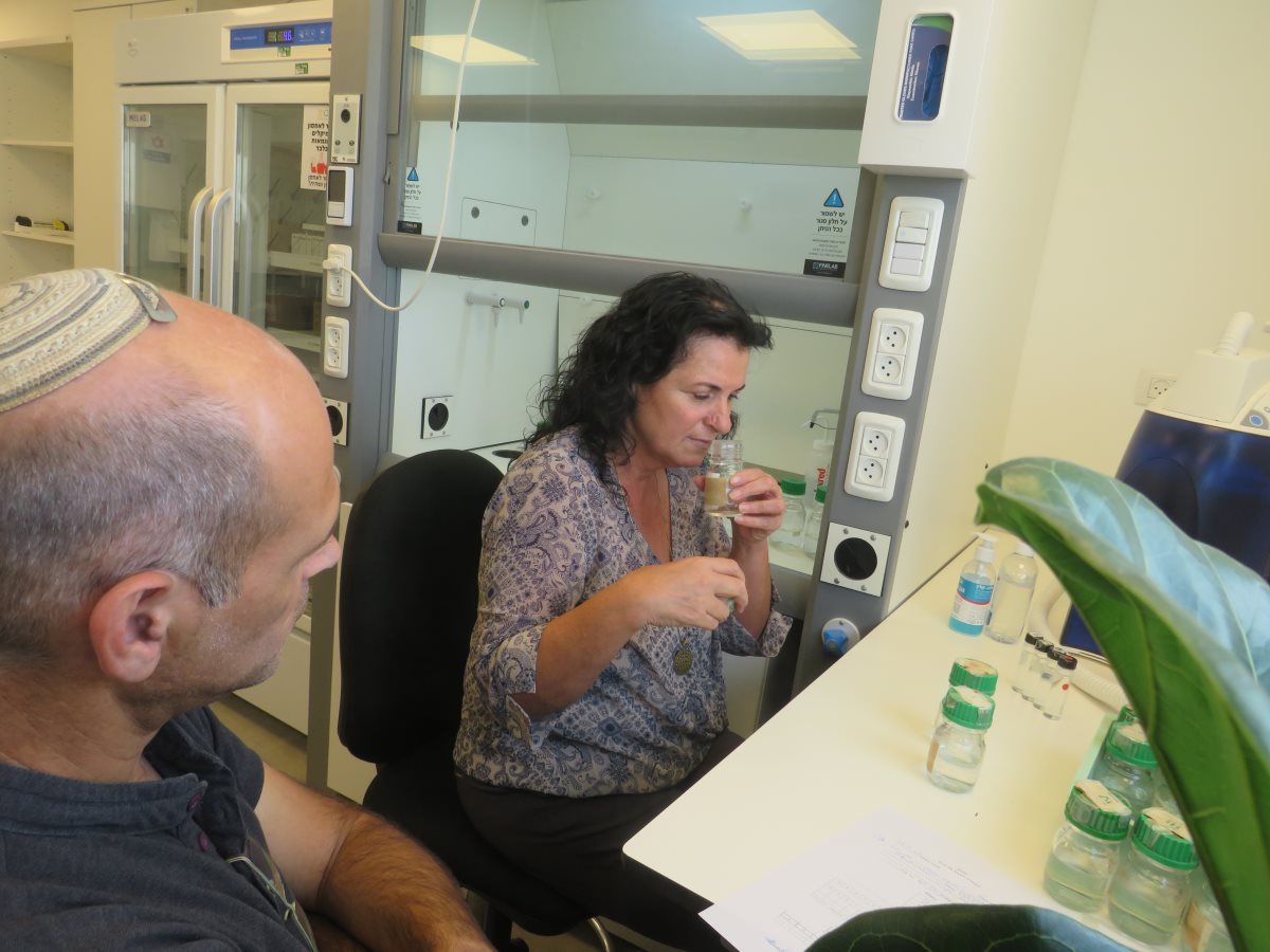 צוות ההרחה של נאות חובב. קרדיט - צילום פרטי